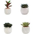 thumbnail image 1 of Pots en Céramique Géométriques Modernes Divers Succulentes Réalistes, Ensemble de 4, 1 of 5