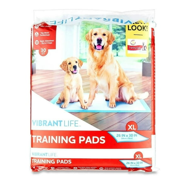 Tapetes para Entrenamiento Vibrant Life Extragrandes 30 Pzas