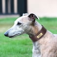 thumbnail image 6 of Didog 4.8cm Width Genuine Leather Dog Collar with Custom Name Plate Heavy Duty Buckle, 6 of 7
