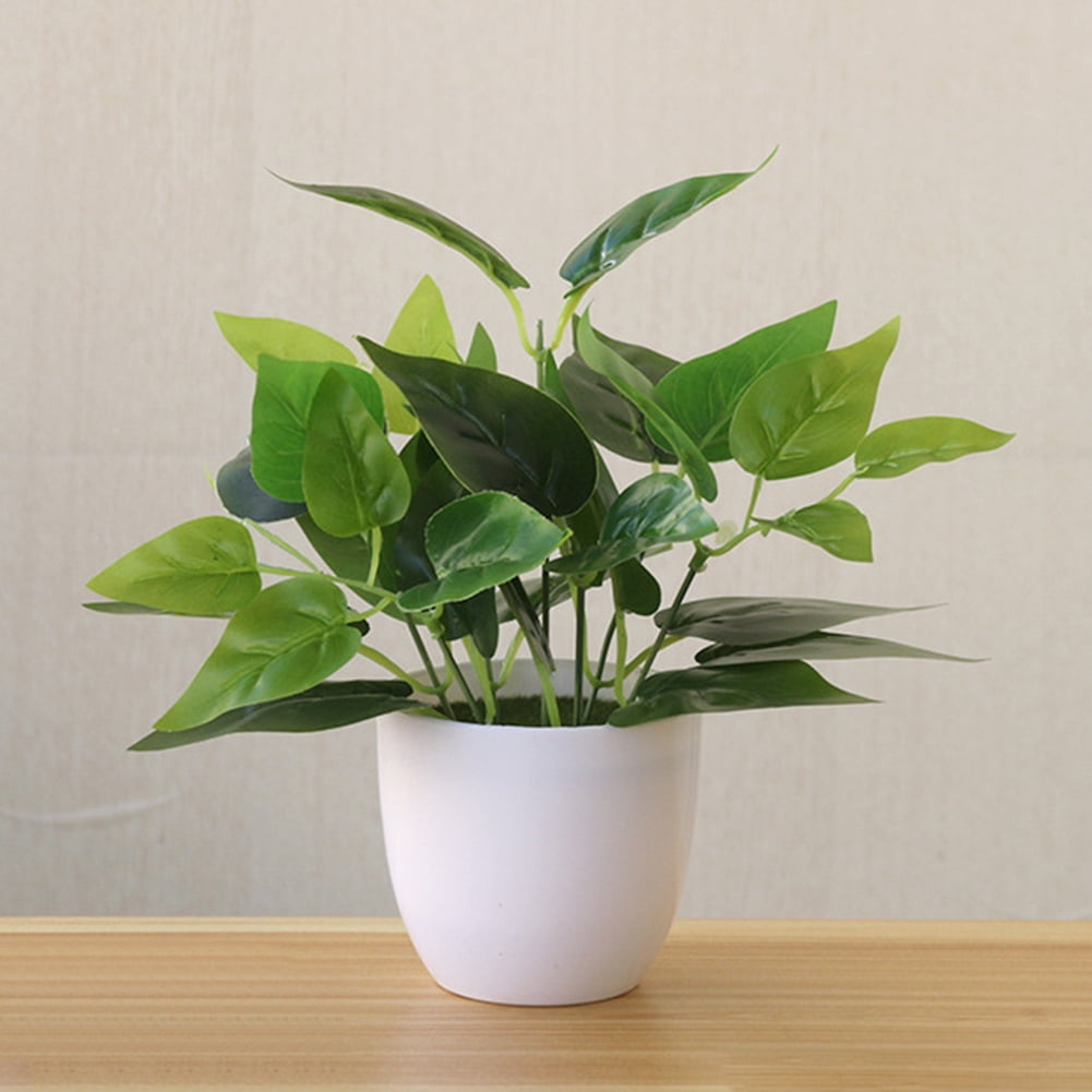 Limei Mini Fake Succulent Plants Artificial Plastic Succulents Potted Faux Eucalyptus Plants for Home Office Table Decoration (White Plastic Pots)