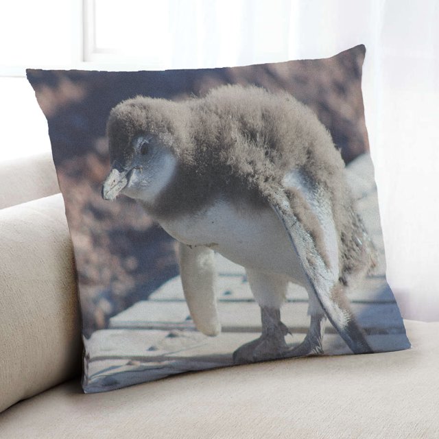 Ahgly Company Animals Penguin Coussin d'Intérieur, 18 Pouces par 18 Pouces