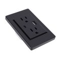 thumbnail image 1 of Toma De Corriente, Salidas Duales De 3 Clavijas Y Puertos De Carga USB Tipo C, Panel De 118 Receptáculos, Negro, 15 A, 1 of 7