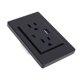 thumbnail image 1 of Toma De Corriente, Salidas Duales De 3 Clavijas Y Puertos De Carga USB Tipo C, Panel De 118 Receptáculos, Negro, 15 A, 1 of 7