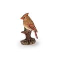 thumbnail image 4 of Female Cardinal Resting on Stump Garden Statue, 4 of 5