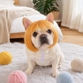 thumbnail image 5 of huayou Pet Bob Wig, Short Hair Costume Headpiece with Adjustable Tie Strap, Synthetic Hair Dress-up Accessory for Small & Medium Dogs and Cats, for Party, Cosplay & Daily Photography Use, 5 of 7