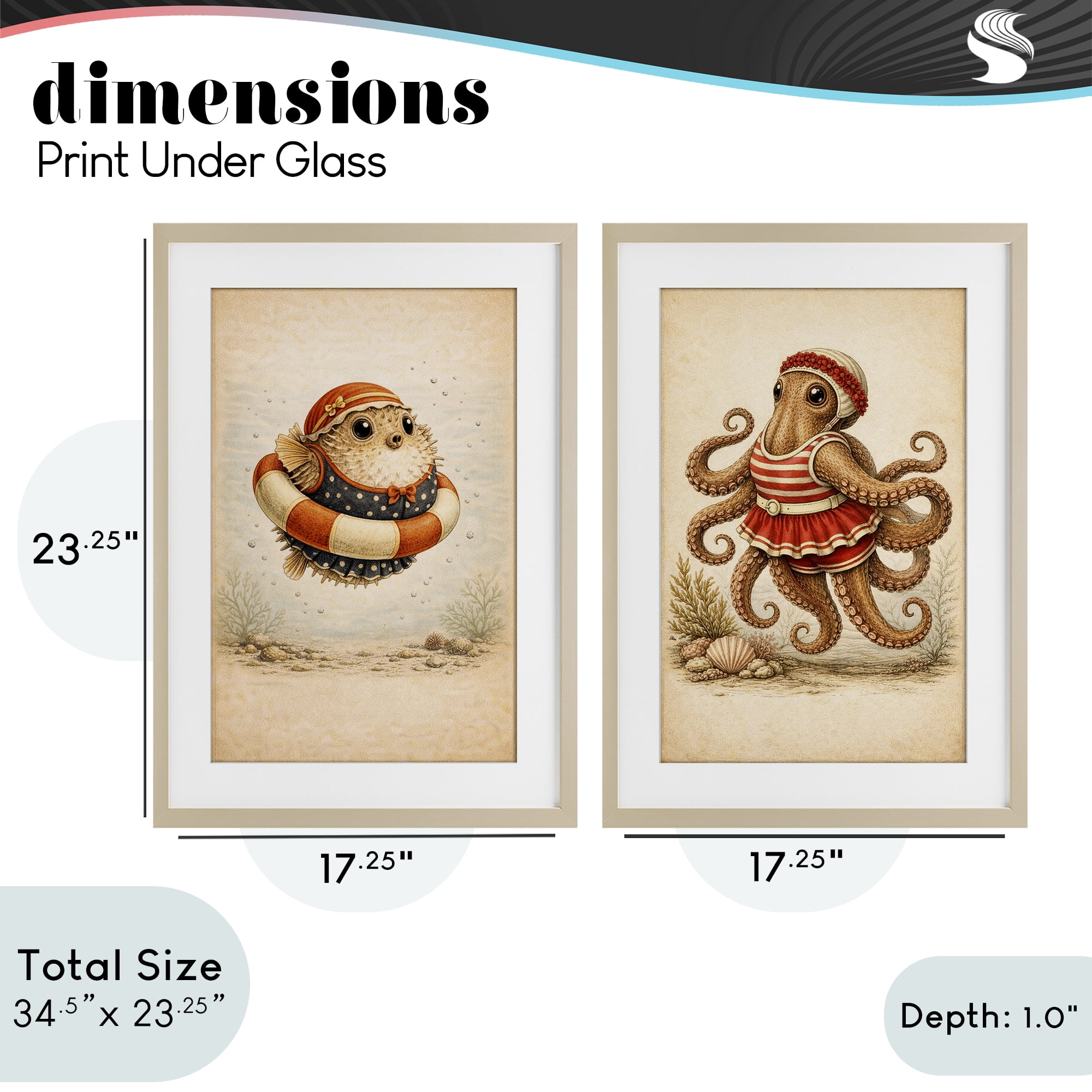 Stupell Industries Vintage Maritime Bathing Creatures 2 Piece Birch Framed Print Under Glass Set, design by Grotto Studios