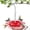 Red-1Pcs, variant on 2-Pack Hummingbird Feeder for Outdoors Hanging,16 OZ Humming Birds Feeders with 30 Bee Proof Leak Proof Feeding Ports,Bird Feeder for Outside,Gifts for Women Mom,Hanging Garden Yard Décor