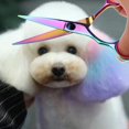 thumbnail image 3 of Dog Scissors Set Professional Pet Stainless Steel Scissor with Combs for Dog Cat Pets-Rainbow, 3 of 5