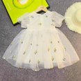 thumbnail image 5 of Gyratedream 1-6Y Toddler Little Girls Embroidered Puff Sleeve Lace Tulle Dress Tutu Princess Dresses, 5 of 6