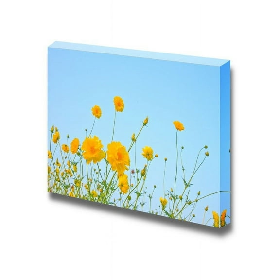 wall26 - Canvas Prints Wall Art - The Cosmos Flower on Blue Sky Background | Modern Wall Decor/Home Decoration Stretched Gallery Canvas Wrap Giclee Print. Ready to Hang - 32" x 48"