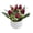 🔥 Hot Pink_Hot#2112, variant on Artificial Tulip Potted Plant for Indoor Decor, Mini Fake Flower Bonsai in Pot for Desk Office Shelf Home Decoration