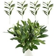 thumbnail image 2 of 10 Pack Artificial Olive Tree Branches with Fruit Realistic Faux GreenStems for Wedding Centerpieces Hotel Decor Floral Arrangements Home Decor Vase Fillers Indoor Olive Tree Decorations 19.6”, 2 of 6