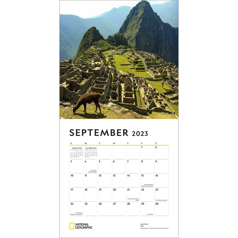  The Soul of the Forest 2023 Wall Calendar: Traveling the Globe,  Connecting the World, 12 x 24 Open