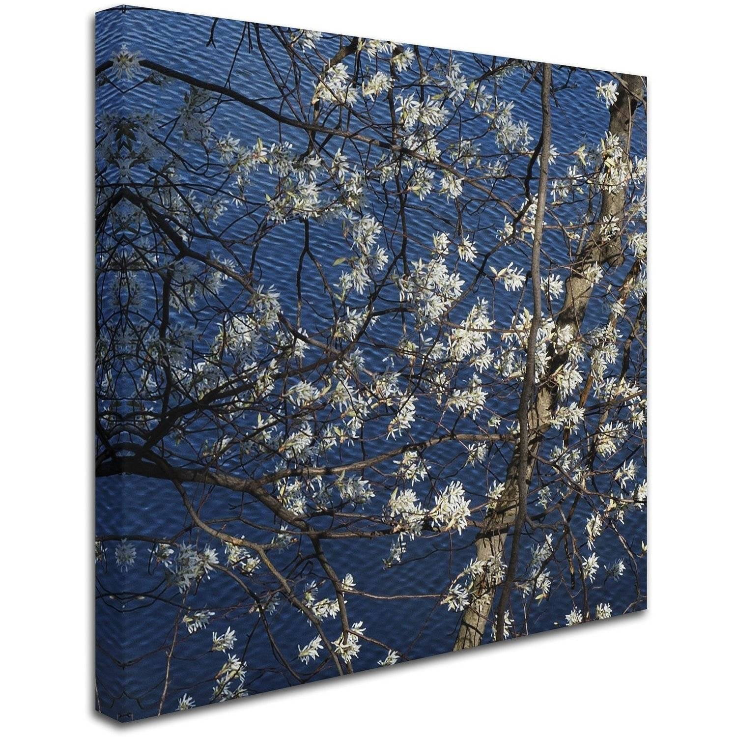 "Springtime at the Lake" Canvas Art by Kurt Shaffer