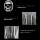 thumbnail image 3 of Bewildely Adornos colgantes de cabeza de calavera para Halloween, esqueleto ligero resistente al desgaste, accesorios de terror, colgantes Kits de decoración para fiestas, 3 of 6