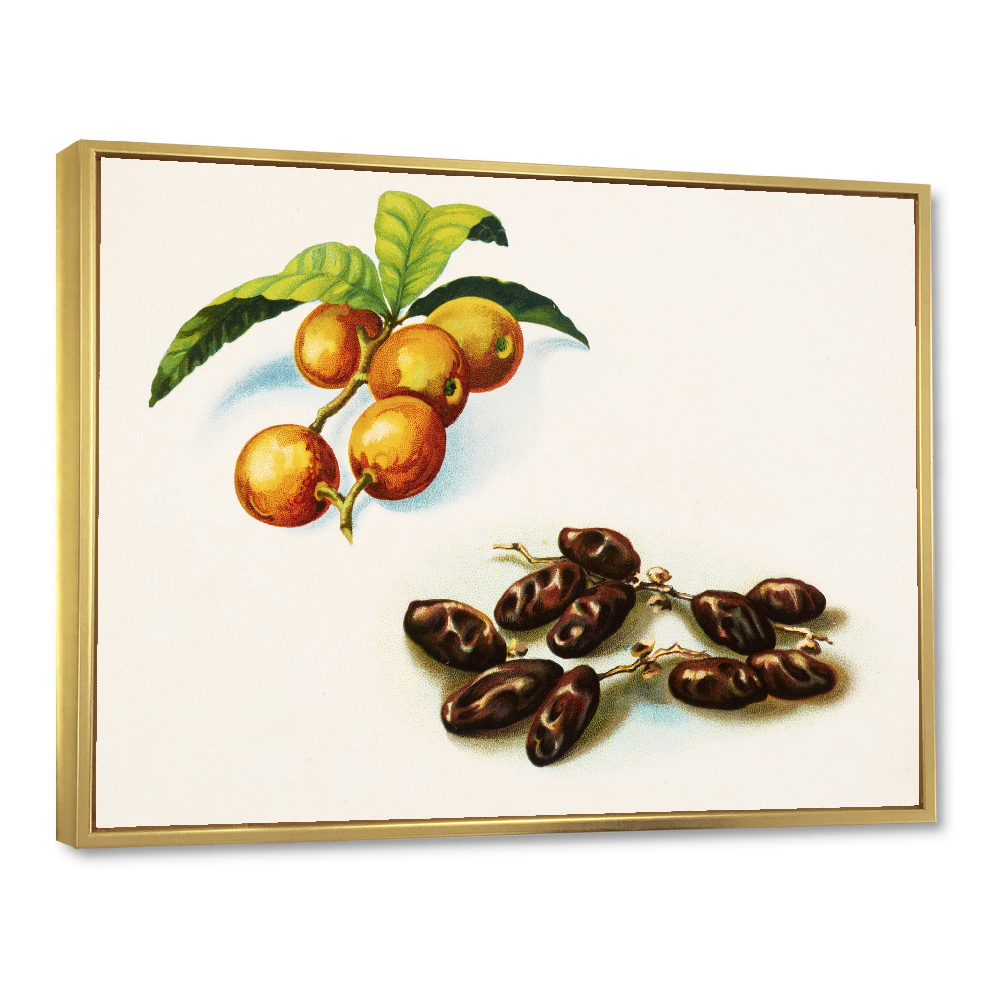 Designart 'Ancient Fruits IV' Farmhouse Framed Canvas Wall Art Print