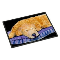 Carolines Treasures SS8909JMAT Golden Retriever Doormat 24x36 36"L x 24"W multicolor