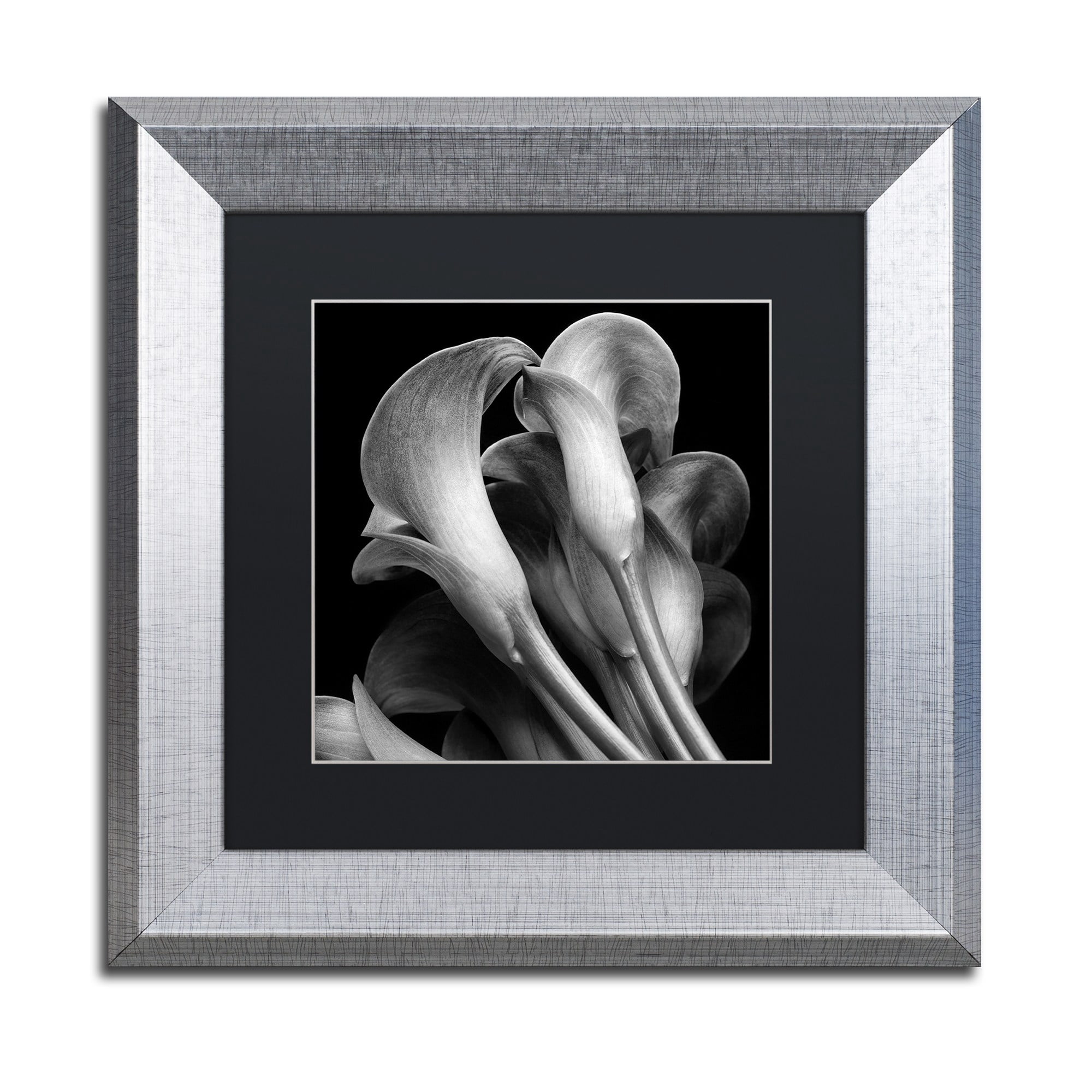 Michael Harrison 'Lillies' Black Matted Framed Art