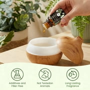 Aeshory Essential Oils Set for Diffuser, Humidifier, Aromatherapy, Massage, Soap, Candle Making (12 Pack/5mL)