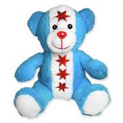 9" Chicago Flag Teddy Bear