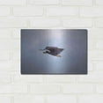 thumbnail image 3 of Luxe Metal Art 'Bald Eagle Soas' by Epic Portfolio, Metal Wall Art, 16"x12", 3 of 9