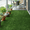 3 X 5 FT, variant on Artificial Grass Mat, 39.4"x31.5" | Professional Dog Grass, Potty Training Rug, Replacement Turf, Outdoor Rug Patio Lawn Decoration, Easy to Clean