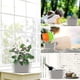 thumbnail image 4 of Hanging Flower Pot, Hanging Flower Pots With Detachable Hooks Drainage Hole Hanging Pot For Outdoor Balcony Garden Country House Banmo, 4 of 4