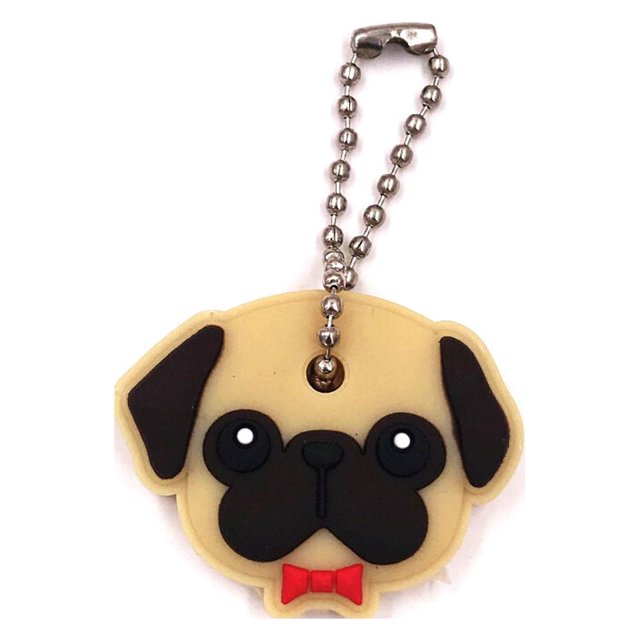 Kearding Llavero con forma de Animal de PVC de 10 piezas, bonito llavero reutilizable de dibujos animados, reemplazo lavable, colgante para Almacenamiento y organización del hogar Tipo 3