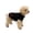 #02 Black, variant on Zynoxe Small Dog Sweater Warm Comfy Knit Ribbed Winter Sweaters Solid Color Turtleneck Winter Clothes