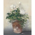 thumbnail image 3 of Rowan, Carol 20x24 Black Modern Framed Museum Art Print Titled - Pot of White Geraniums, 3 of 5