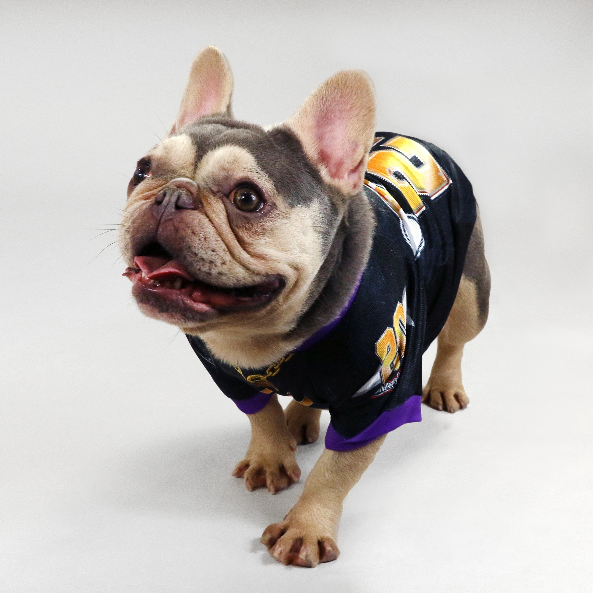 Deluxe Pet Jersey â€“ Off The Chain
