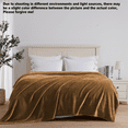 thumbnail image 5 of COKEEY Bedding Fleece Blanket Khaki Queen Size Khaki 300GSM Luxury Fuzzy Soft Anti-Static Microfiber Bed Blanket (90x90 Inch), 5 of 10