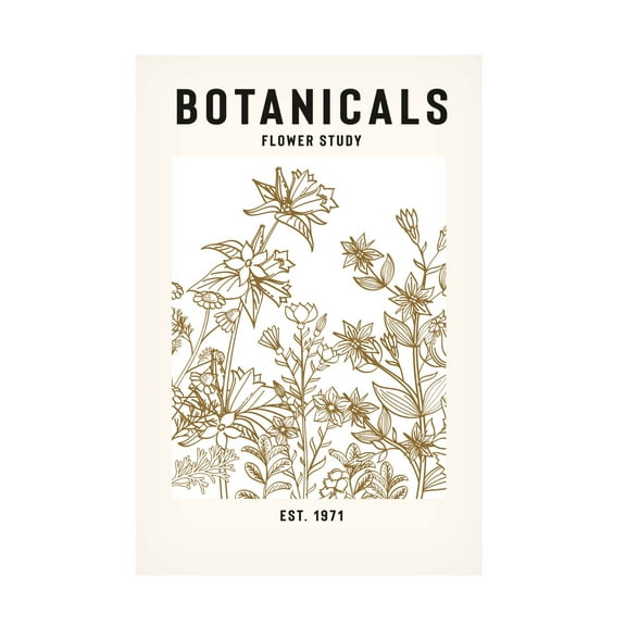 Trademark Fine Art jay stanley Botanicals Flower Study Ii Canvas Wall Art