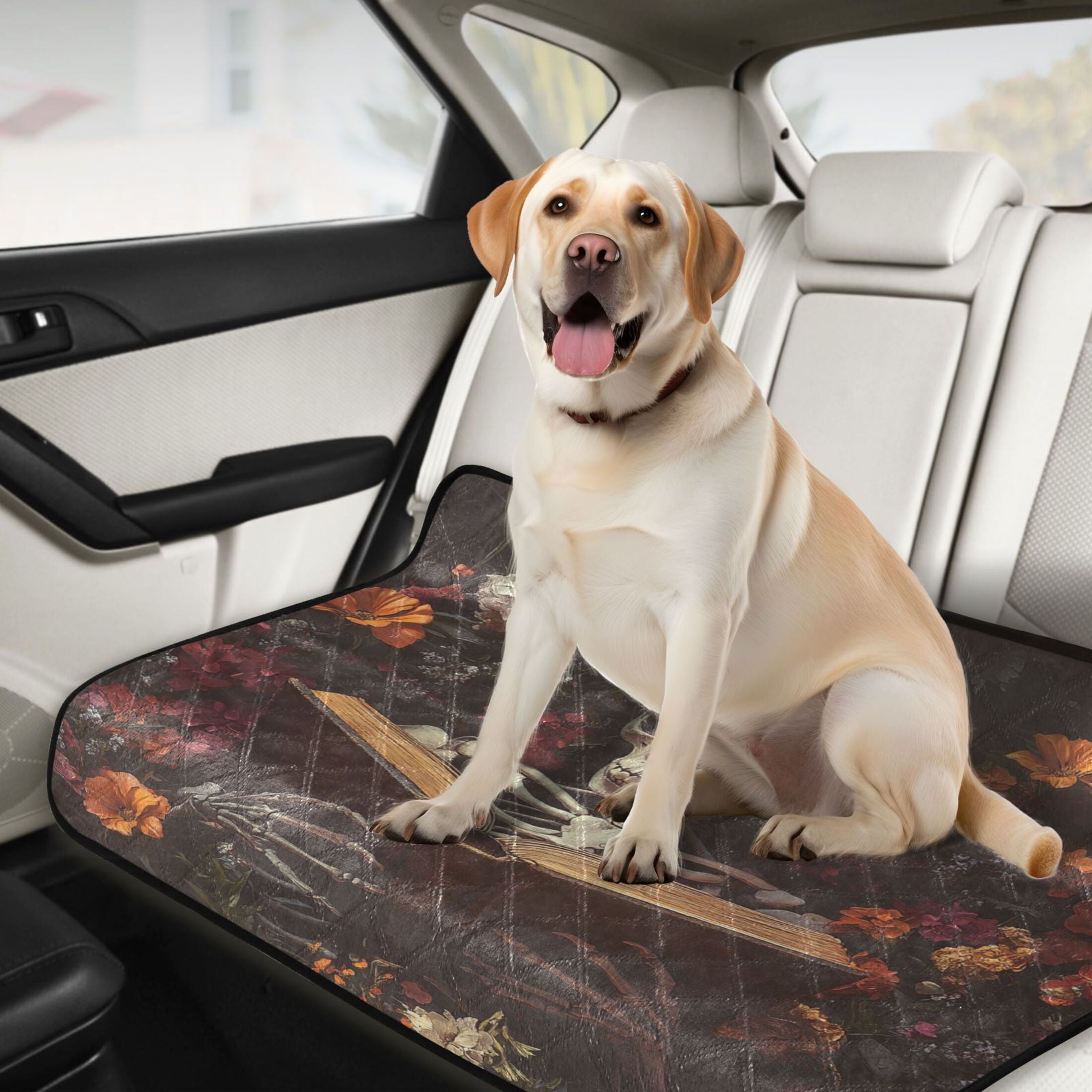 Qxltty Skeleton Reading Cat litter Pads Pet Set of 3 Diaper Mats Center Anti-leakage Layer Absorbent Soft and Comfortable