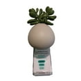thumbnail image 3 of Bath and Body Works Wallflower Plugin Air Freshener, Succulent, 3 of 3
