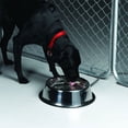 thumbnail image 4 of API Silver Stainless Steel 160 oz Heated Pet Bowl For Dog, 4 of 8