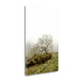 thumbnail image 2 of Tangletown Fine Art Oak Tree - 43 By Alan Blaustein,  Gallery Wrap Canvas, 2 of 2