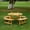 Natural, variant on Smooth Edge Design / Patio Outdoor Meals / 4 Built-in Benches