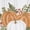 Vine Cluster, variant on RITZ 100% Cotton Harvest Kitchen Towels, Set of 4, Painted Leaves Dish Towels Set
