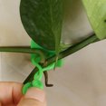 thumbnail image 4 of YAOMOBB Wall-mounted Plant Clips Sturdy Self adhesive Green Plant Clips Wall Fixture Clips for Climbing Vines Support, 4 of 6