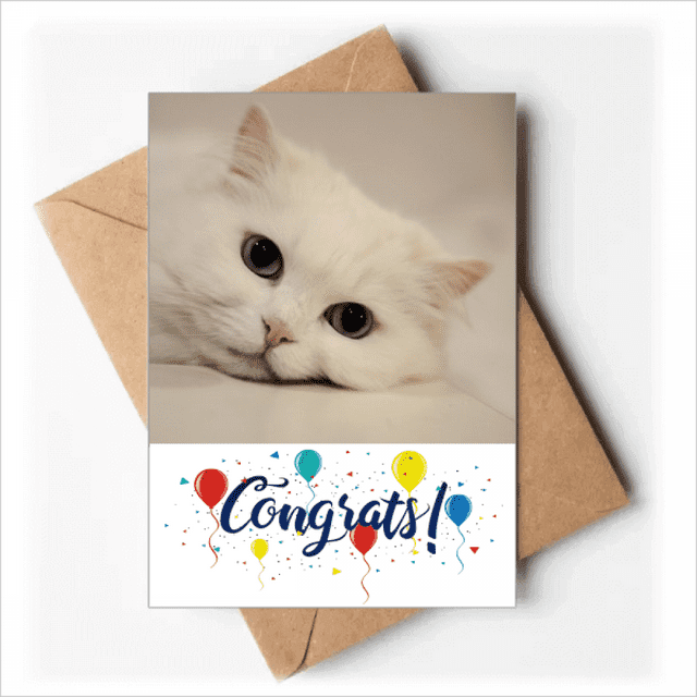 Cartes de Mariage Relaxantes pour Chat Blanc, Enveloppes de Félicitations