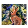 thumbnail image 1 of Betsydrake BK1174 50 x 60 in. Cottontail Throw, 1 of 1