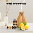 thumbnail image 4 of Aofmee Essential Oils Set, Rosemary Oil - Coconut, Orange Variety of Scents, for Use with Diffuser Oil, Aromatherapy, Relaxation, Candle Making Kit (6 X 10ML), 4 of 11