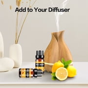 Aofmee Essential Oils Set, Rosemary Oil - Coconut, Orange Variety of Scents, for Use with Diffuser Oil, Aromatherapy, Relaxation, Candle Making Kit (6 X 10ML)