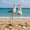 Blue Seagull, variant on Blue Seagull Solar Garden Statue for Home and Outdoor Decor