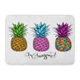 thumbnail image 1 of NUDECOR Pink Cool Three Multicolored Pineapples Fruit Lettering Awesome on Graphic Tropical Doormat Floor Rug Bath Mat 23.6x15.7 inch, 1 of 1