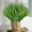 🔥 Green_New, variant on Artificial Fall Plants Rustic Faux Greenery Set Simulation Leaves and Stems Autumn Home and Garden Decor Porch Patio Table Arrangement Low Maintenance Indoor Outdoor Farmhouse Style Seasonal Display