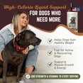thumbnail image 2 of Suplemento líquido para aumentar de peso para perros All American Canine, 473 ml, 2 of 7