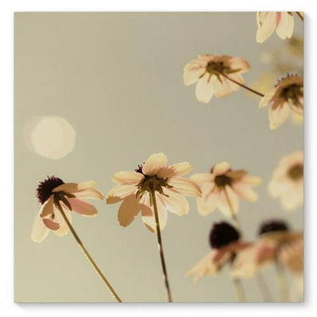 KAVKA DESIGNS Delicate Photographic Print on Canvas