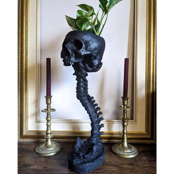 Maceta de calavera de 12 pulgadas con columna vertebral, maceta de resina realista con forma de calavera, maceta gótica, decoración de Halloween, decoración para el hogar, oficina, escritorio, manuali